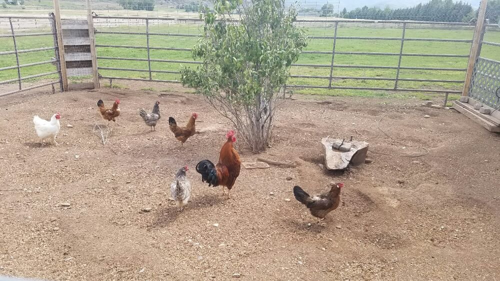 Slide of Drains 24/7