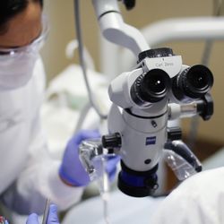 North Shore & Brookline Endodontics - Operating Microscopes