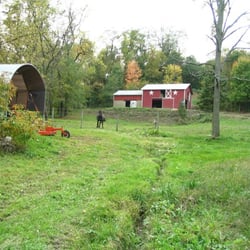 Little Red Schoolhouse - The horse and donkey that were guarding the schoolhouse