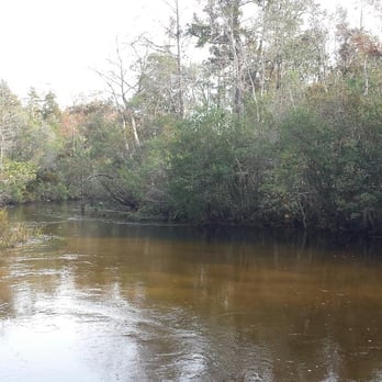 Turkey Creek Park - Parks Near Me - Niceville, Florida Turkey Creek Park - Parks Near Me - Niceville, Florida