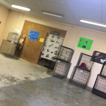 Belle's Bath Boutique - Pet Groomers Near Me - North Little Rock, Arkansas