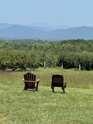 Chattooga Belle Farm by null
