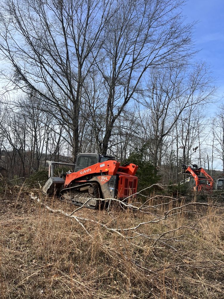 Ortiz Tree Service - tree service in Taylors, SC