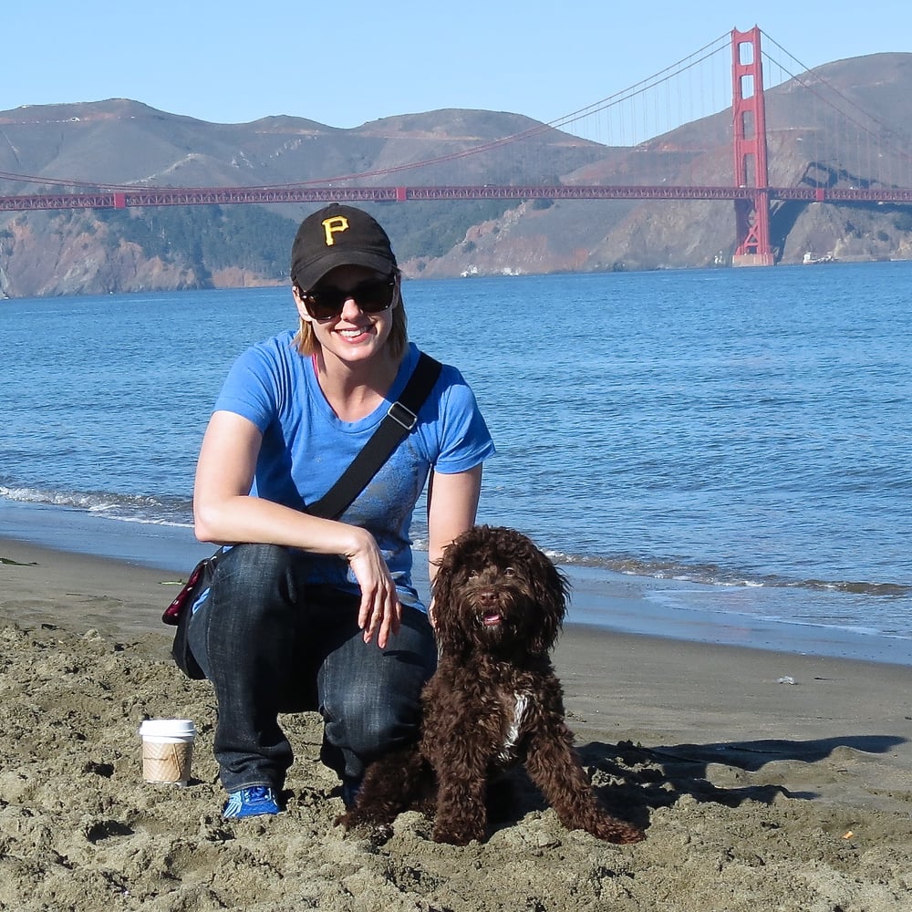 Dogs Abide - pet boarding facility in San Francisco, CA