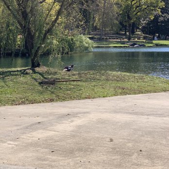 Avondale Park - Parks Near Me - Birmingham, Alabama