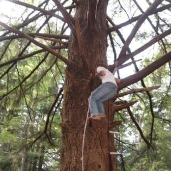 Tree 9 - Local Flavor Near Me - Santa Cruz, California