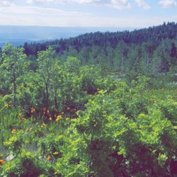 Blackhawk Campground