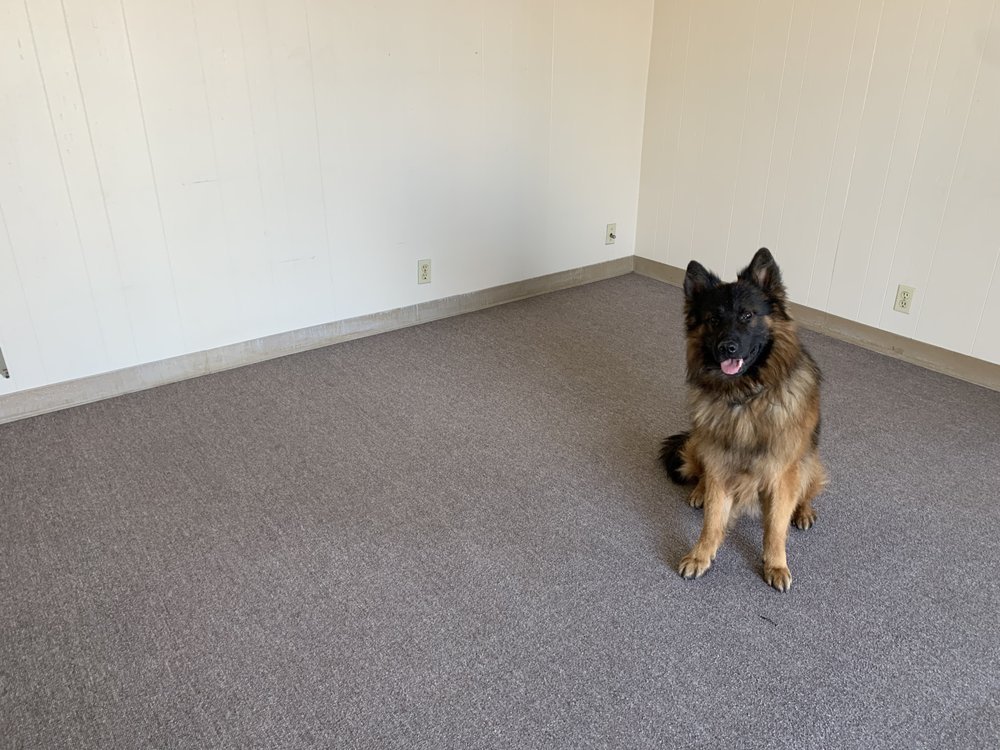 GABE’S CARPET CLEANING Updated September 2024 10 Reviews Visalia