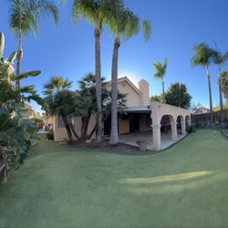 Raymundo Tree Service - Riverside