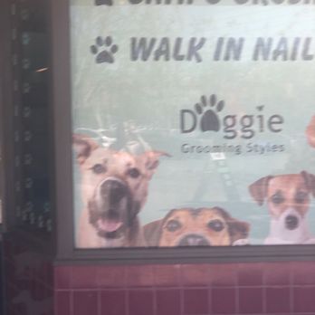 Cali Pet Goodz - Pet Groomers Near Me - Morgan Hill, California
