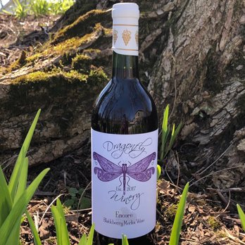 Dragonfly Winery - Blackberry merlot - Wineries Near Me - Canal Fulton, Ohio Dragonfly Winery - Blackberry merlot - Wineries Near Me - Canal Fulton, Ohio
