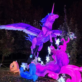 Elite Experience: Dragon Lights Reno - Yelp Events Near Me - Reno, Nevada