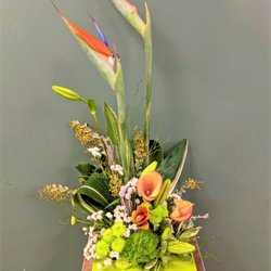 Harry Miller Flowers