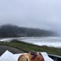 Photo of Bread & Roses Bakery