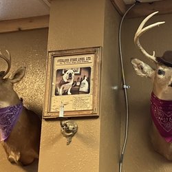 Old Time Photos at the Falls - Such a cute shop!
