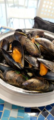 Blue Water Fish by null