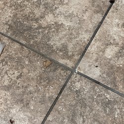 Dunkin' - Roaches? Seriously?
