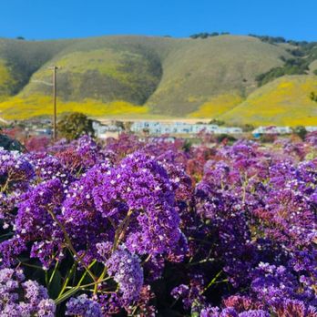 Dinosaur Caves Park - Parks Near Me - Pismo Beach, California