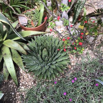 Allan Gardens - Parks Near Me - Toronto, Ontario Allan Gardens - Parks Near Me - Toronto, Ontario