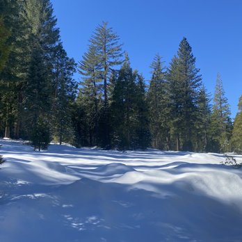 Pinecrest Lake - Fresh snow - Lakes Near Me - Pinecrest, California