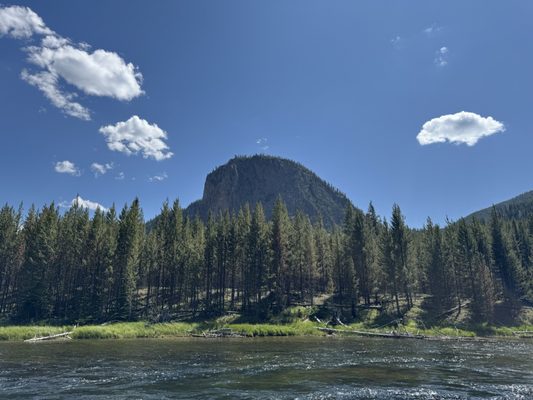 Roosevelt Arch by null