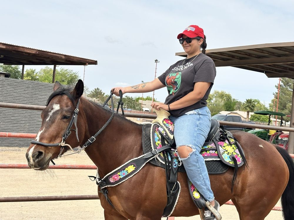 Horse Harmonies - equestrian in Gilbert, AZ