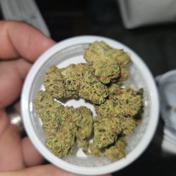 Trulieve Miami Dispensary 77th Ave - Creamsickler- 29.1% THC 2.257% Terps Sativa