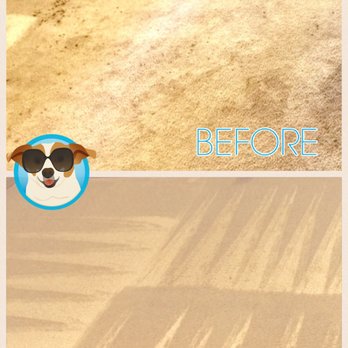 Power Pup Clean - Carpet Cleaning Near Me Power Pup Clean - Carpet Cleaning Near Me