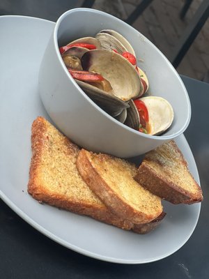 Scuttlebutt Padanaram by null