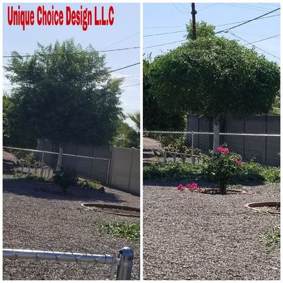 Palm & Tree Trimming - Tree services. Give us a call or text today 480-843-4889 🌴🌳 Palm & Tree Trimming - Tree services. Give us a call or text today 480-843-4889 🌴🌳