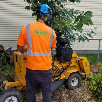Phillips Family Tree Care - Dan grinding stumps on a beautiful spring day. - Tree Services Near Me Phillips Family Tree Care - Dan grinding stumps on a beautiful spring day. - Tree Services Near Me