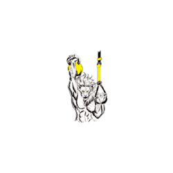 Lion Heart Athletic Performance and Fitness - Personal Training, Boot Camp, Crossfit, Nutritional Coaching, Online Training