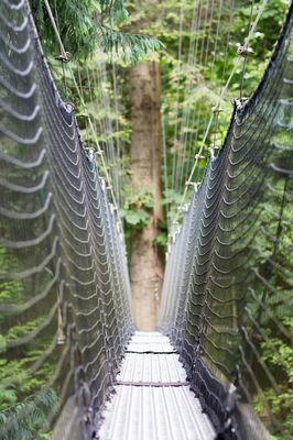 Greenheart Treewalk 15 Photos 6804 Sw Marine Drive Vancouver Yelp