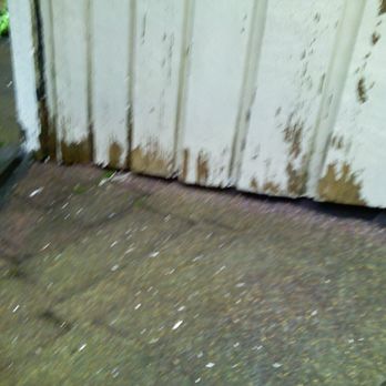 All Brite Professional Paint & Service - Painters Near Me - Maple Valley, Washington