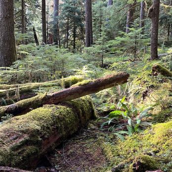 Evergreen Escapes - Tours Near Me - Seattle, Washington