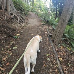Grace Cole Nature Park