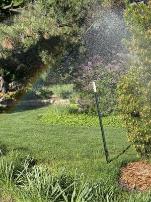 Botanica, The Wichita Gardens by null
