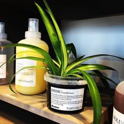 Sustainability is the core of Davines and Salon Mission.