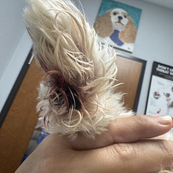 Petco - Phoenix this morning at Vet's office. - Pet Stores Near Me - San Antonio, Texas