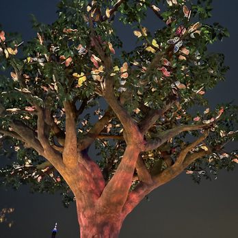 Dollywood - Wildwood Groves magical tree - Amusement Parks Near Me - Pigeon Forge, Tennessee