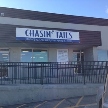 Chasin' Tails - Chasin Tails - NE - Pet Groomers Near Me - Calgary, Alberta