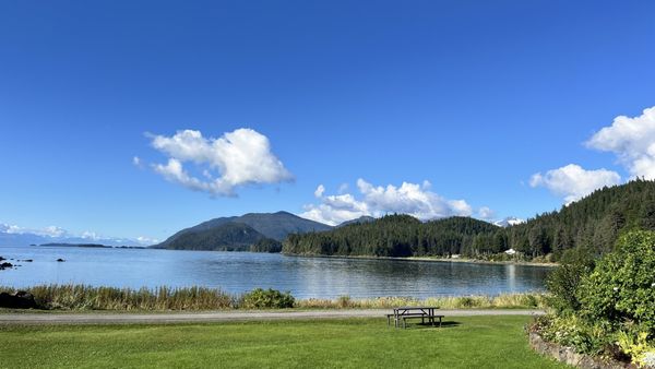 National Shrine of St. Thérèse by null