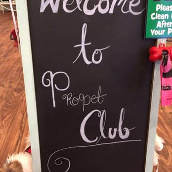 Pro Pet Club - Pet Groomers Near Me - La Habra, California