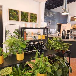 Botanist Coffeehouse - Aesthetic