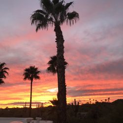 Photo of Nicole Franco Law Disability / Social Security - Scottsdale, AZ, US.