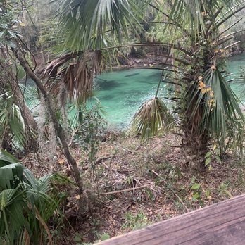 Blue Spring State Park - Parks Near Me - Orange City, Florida