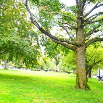 Prospect  Terrace - Parks Near Me - Providence, Rhode Island