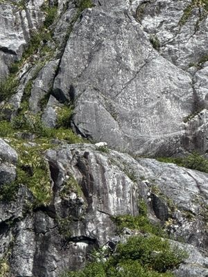 Kenai Fjords National Park by null