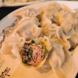 Handmade Pork with Fennel Dumplings