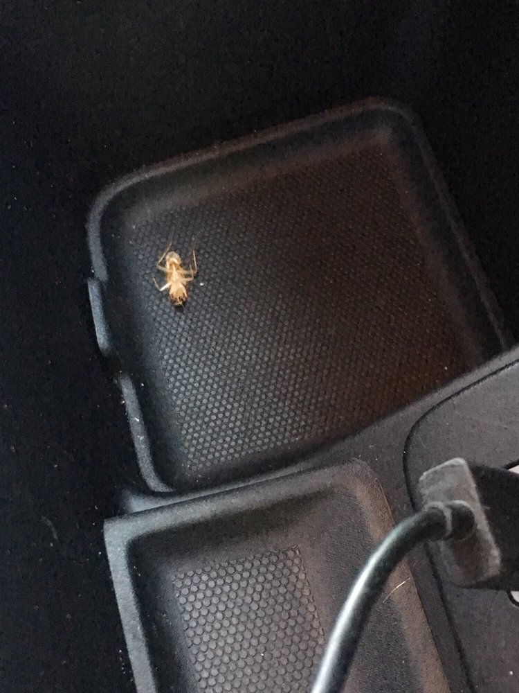 FOX RENT A CAR 46 Photos & 110 Reviews Car Rental 81 Alae St